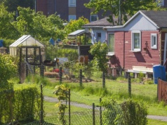 Ogródki działkowe biją rekordy cen. Nawet 500 tys. zł za altanę