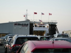 Duże silniki i unikalne modele. Dlaczego Polacy pokochają motoryzację z USA?