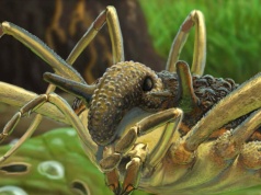 Niezwykły stwór znaleziony w bałtyckim bursztynie. Nogi jak pająk