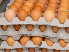 Kontrole jaj w całej Polsce. Już wiadomo: tak oszukują nas producenci