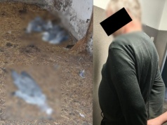 Gmina Opole Lubelskie: 59-latek z zarzutami po odebraniu 18 psów i ujawnieniu broni oraz martwych czapli