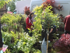 Zamek w Bykach zakwitnie na wiosnę. Nadchodzą XIX Piotrkowskie Targi Ogrodnicze!