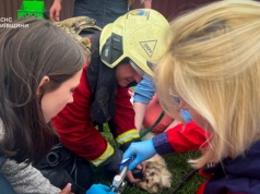 Prawie 600 dronów i rakiet wystrzelonych na Ukrainę