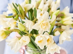 Wsyp do wazonu odrobinę cukru, a żonkile i tulipany postoją znacznie dłużej. To tani trik, a działa