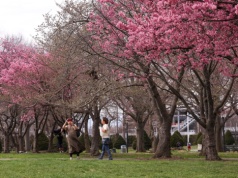 Zmienna pogoda w Święta. W Niedzielę Wielkanocną nawet 21 stopni
