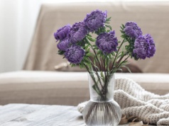 Te wiosenne kwiaty znasz z ogrodu, ale odnajdą się też gdzie indziej. W domu wyglądają super