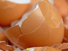 Nie wyrzucaj skorupek z jajek. Rozsyp je w ogrodzie