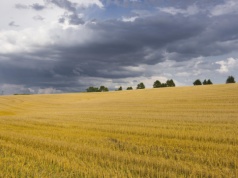 Holding wykupił spółkę z areałem 190 tysięcy hektarów ziemi. Za 348 milionów dolarów