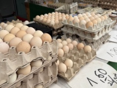Rewolucja na rynku. Sieci handlowe mówią "nie" jajom klatkowym