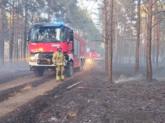 Duży pożar traw i lasu w Wielkopolsce. W akcji prawie 30 zastępów