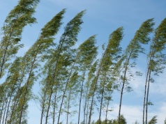 To nie są dobre wieści na Wielkanoc. Pilne ostrzeżenie dla Polaków, nadciągają potężne wichury