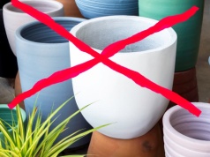 Żegnajcie doniczki na balkonie. Nadchodzi nowy trend. Wygląda bardzo nowocześnie