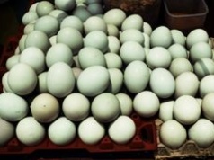 Na widok takich jajek można złapać się za głowę. Co oznacza ten kolor skorupki?