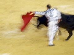 Tragiczny wypadek podczas przygotowań do korridy w Maladze. Byk śmiertelnie ranił byłego matadora