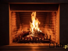 Drewno, pellet czy węgiel? Rachunki z 2026 mówią jasno