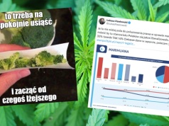 Badanie: większość Polaków ostrożnie podchodzi do legalizacji marihuany i na razie nie ma powszechnej zgody