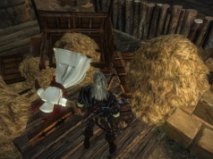 Skok niepowodzenia, Rozbudowujący się Arkham i Supernatural San Andreas: Oto niektóre z ulubionych easter eggów Gamereactor