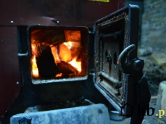 Ile naprawdę trzeba drewna, by zastąpić węgiel? Odpowiedź nie jest oczywista