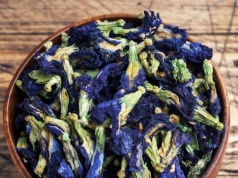 Kiedyś był tylko ozdobą. Dziś niebieski kwiat ratuje rolnictwo