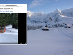 Spotkał małego niedźwiedzia w Tatrach. Wideo obejrzano 106 tys. razy