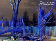 Drzewa runęły na trakcję tramwajową przy Jagiellońskiej. Duże utrudnienia w ruchu