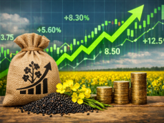 MATIF odbija po panice korzystają z drogiej ropy i słabego euro