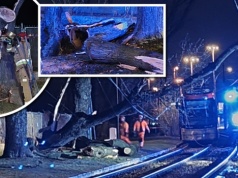 Groźna świąteczna burza w Warszawie. Piorun uderzył w drzewo, niszcząc trakcję tramwajową