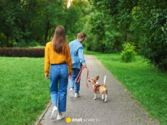 Ile trzeba spacerować, żeby spalić świąteczne kalorie? Całkiem sporo