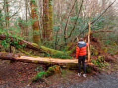 Tragiczny finał wielkanocnej zabawy. Trzy ofiary śmiertelne, winien porywisty wiatr