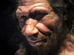 Ukryta katastrofa sprzed 75 tys. lat. Tak zaczęło się wymieranie neandertalczyków
