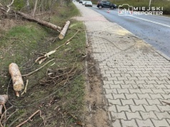 Poranna burza w Warszawie. Powalone drzewa, zablokowane ulice, mieszkańcy bez prądu