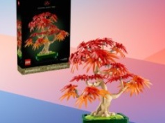 Promocja na LEGO Botanicals w Media Expert. Zestaw Klon Palmowy Bonsai już za 149 zł!