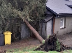 Silny wiatr i burze w woj. lubelskim. Setki interwencji straży pożarnej, jedna osoba porażona prądem