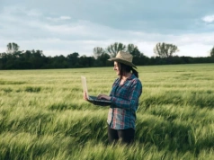 Rolnicy boją się pogody jak nigdy wcześniej. 67% już widzi straty