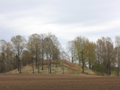 Kolosalny kurhan z Norwegii nie jest tym, za co go uważaliśmy. Badacze mówią o faktycznym przeznaczeniu