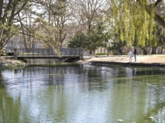 Przyducha w Parku Staszica. Szybka reakcja pozwoliła opanować sytuację