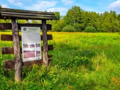 Skrajnie niebezpieczny trend. Park apeluje do turystów