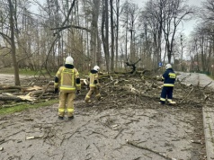 Strażacy podsumowali Wielkanoc. ‘Intensywne działania’