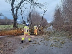 Wichury nad Warmią i Mazurami. Pracowity Poniedziałek Wielkanocny dla strażaków