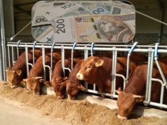 Dobrostan 2025: mniej pieniędzy za te same praktyki – znamy stawki