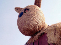 Kultowa komedia dziś w TV. „Miś” wraca na ekran