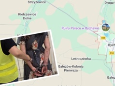 Wzięła solidny zegar w kształcie słonia i uderzyła 86-latkę w głowę. Staruszka nie żyje