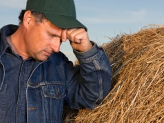 Rolnicy alarmują. Sytuacja gospodarstw 2026 najgorsza od lat