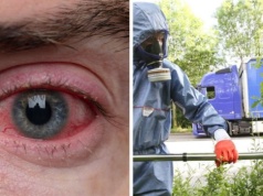 Niemcy przygotowują się na trującą plagę. Zagrożenie rośnie z dnia na dzień