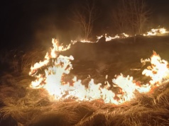 Szybka reakcja policjantów zapobiegła rozprzestrzenieniu się pożaru w Rejowcu Fabrycznym
