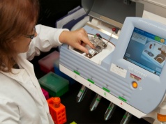 Badaczki z UWM ostrzegają: Antybiotykooporność to jedno z największych zagrożeń zdrowia publicznego