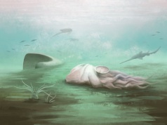 Paleontolodzy wrócili do słynnej skamieniałości. Efekt okazał się brutalny dla starej teorii