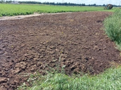 Rośnie zainteresowanie pomiotem kurzym. Ile kosztuje z transportem?