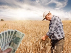 Ile wynosi emerytura z KRUS po 25 latach? Kwota może zaskoczyć