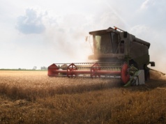 Zboża tanie jak kiedyś, ale koszty rekordowe. Tak źle nie było od lat